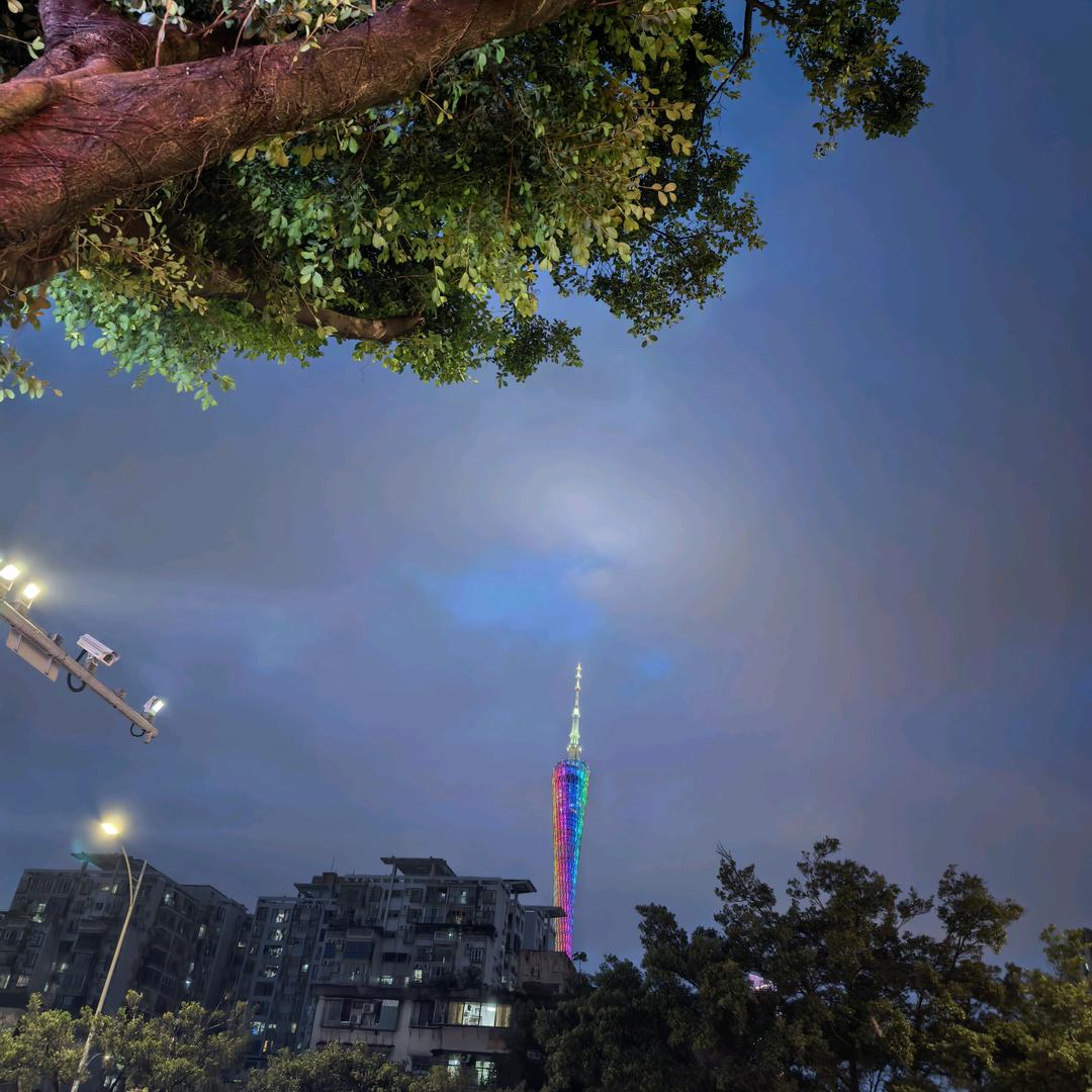 假如爱有天意