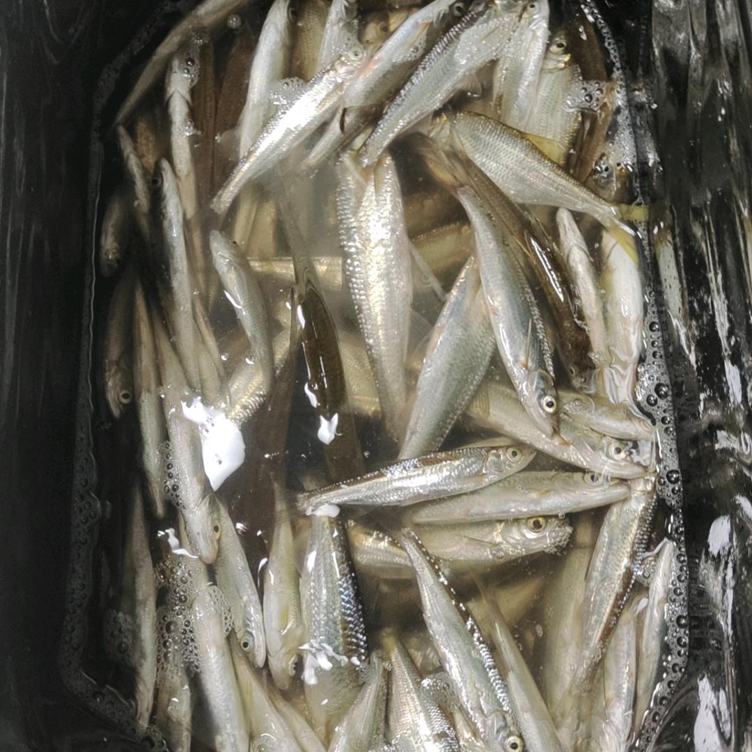 吴敏户外运动