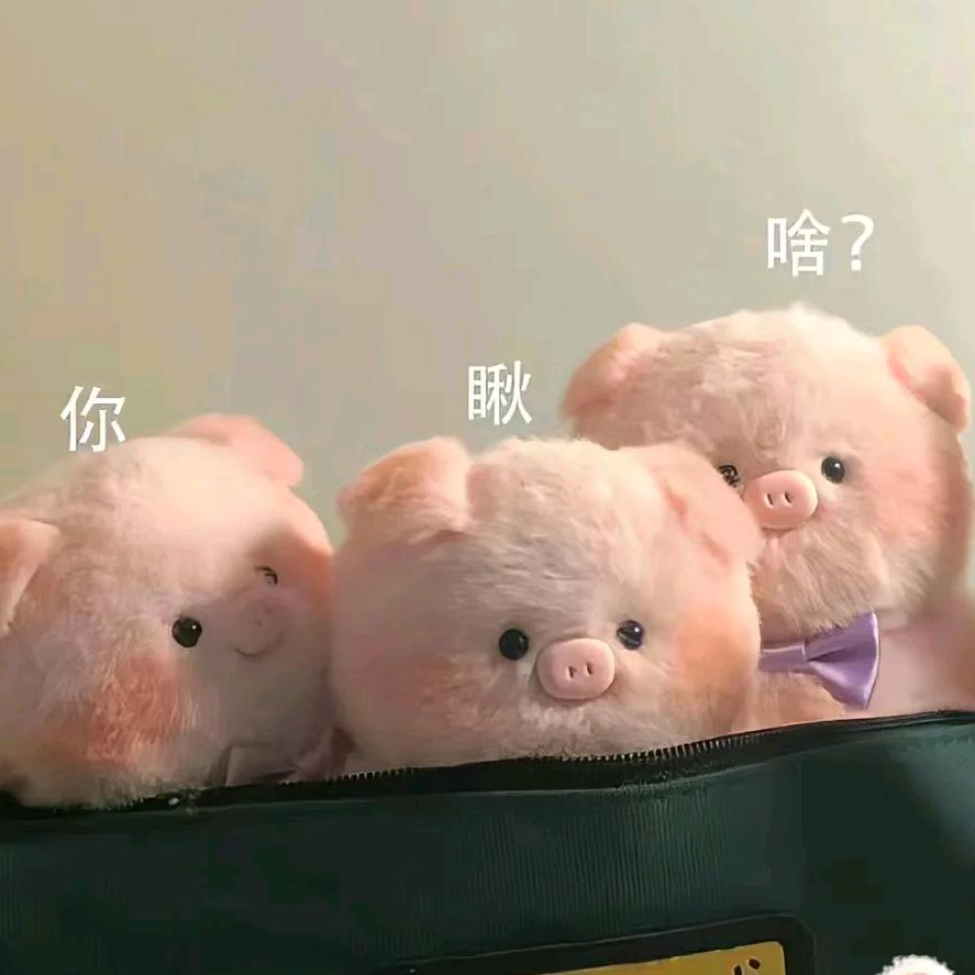 ¥兜没米💰