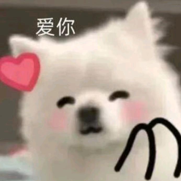 不屈玫瑰肖月儿头像