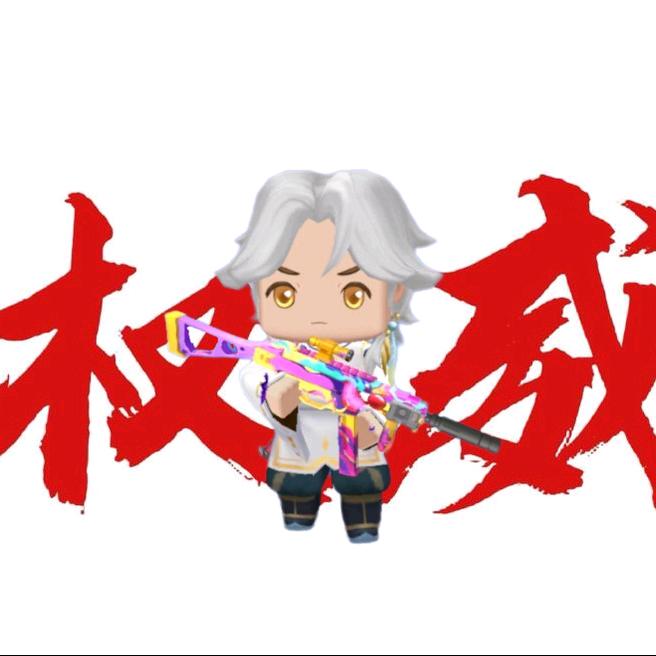 权烬迷你枪战精英