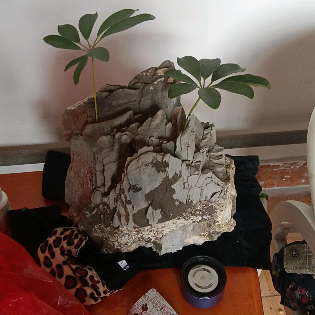 蓝月亮磁吸软门帘