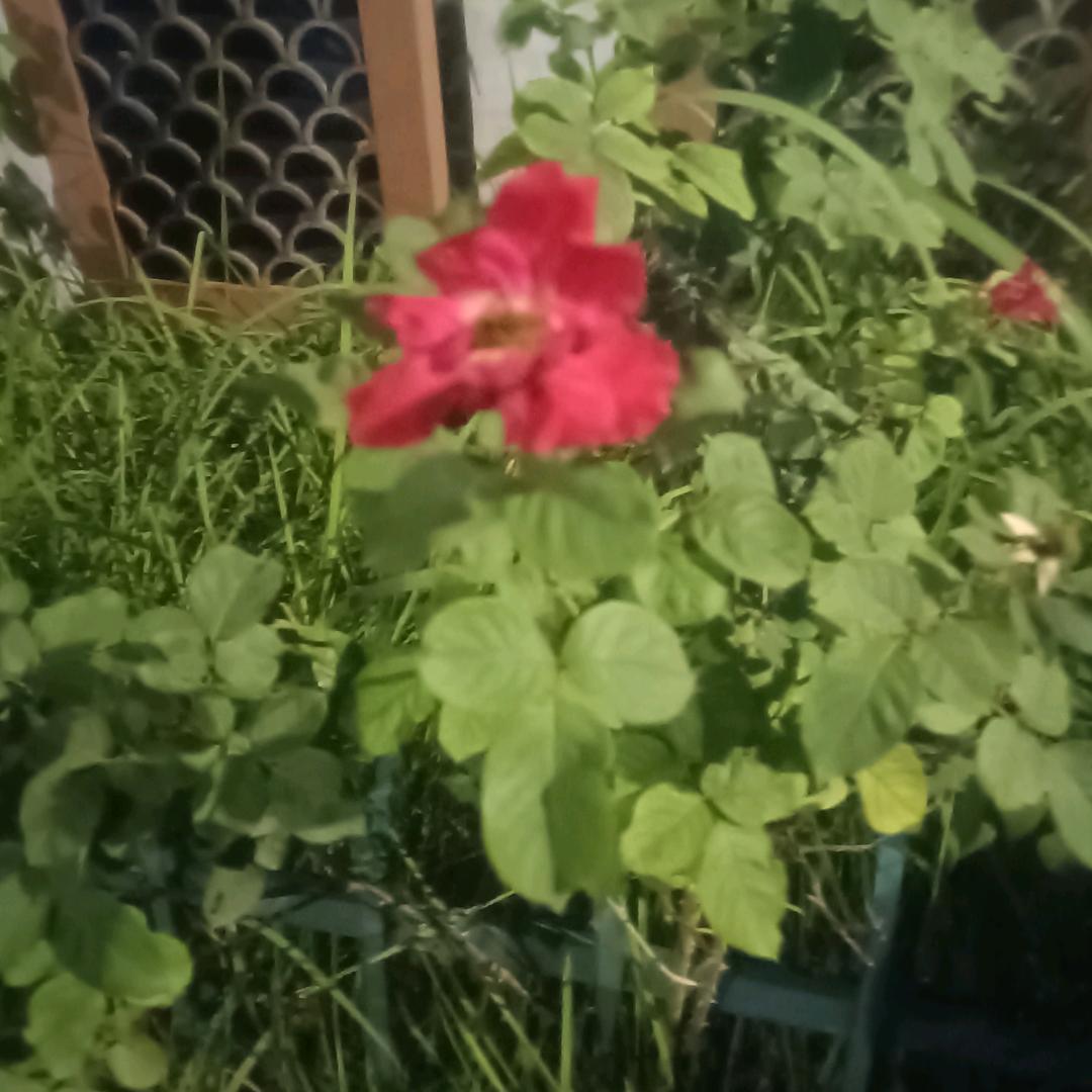 最熟悉的陌生人