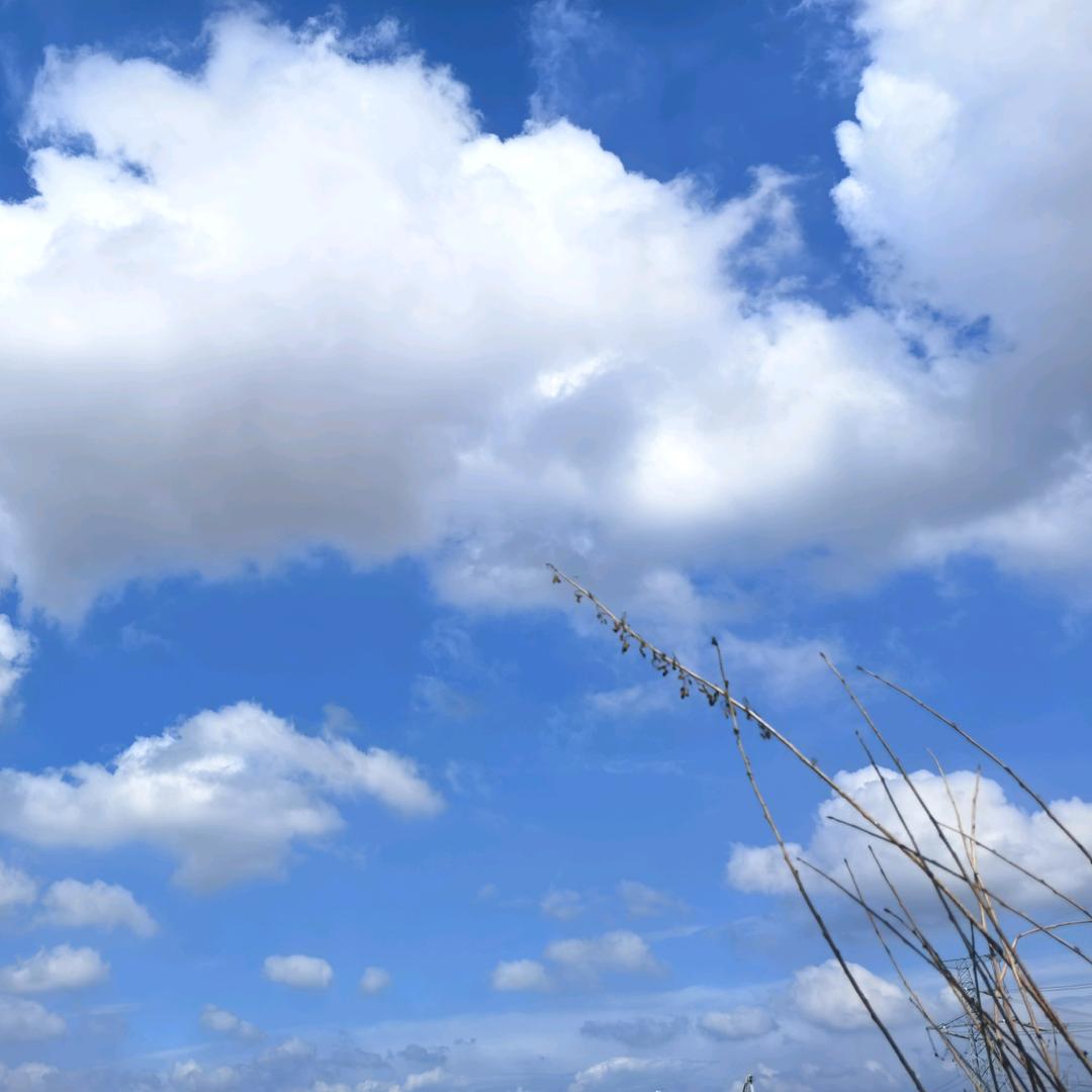 爱写字的追鸿
