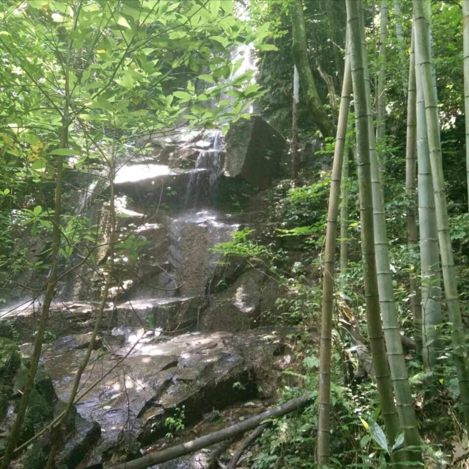 冰彬