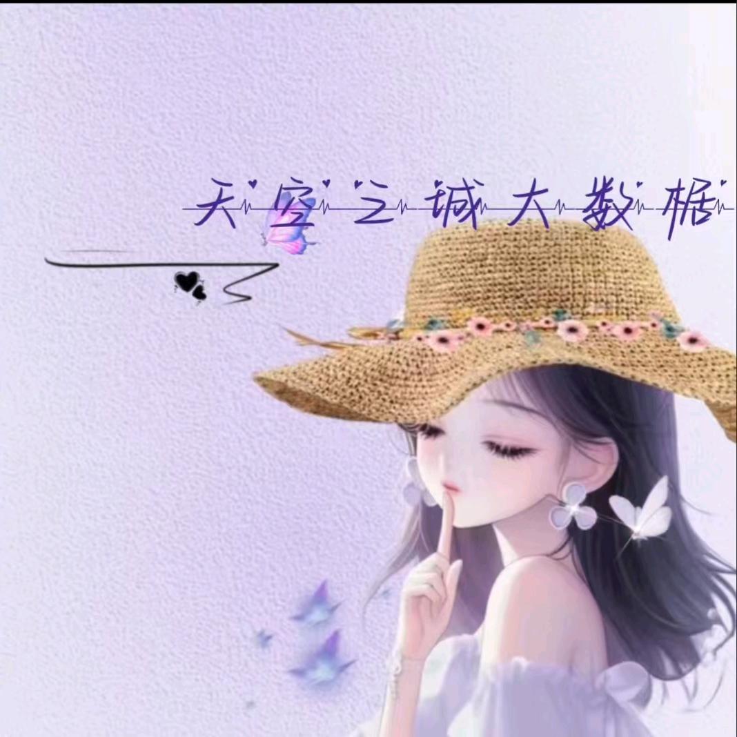 天空之城大数椐