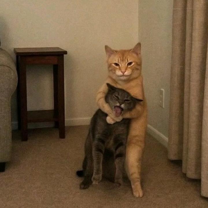 嘉遇