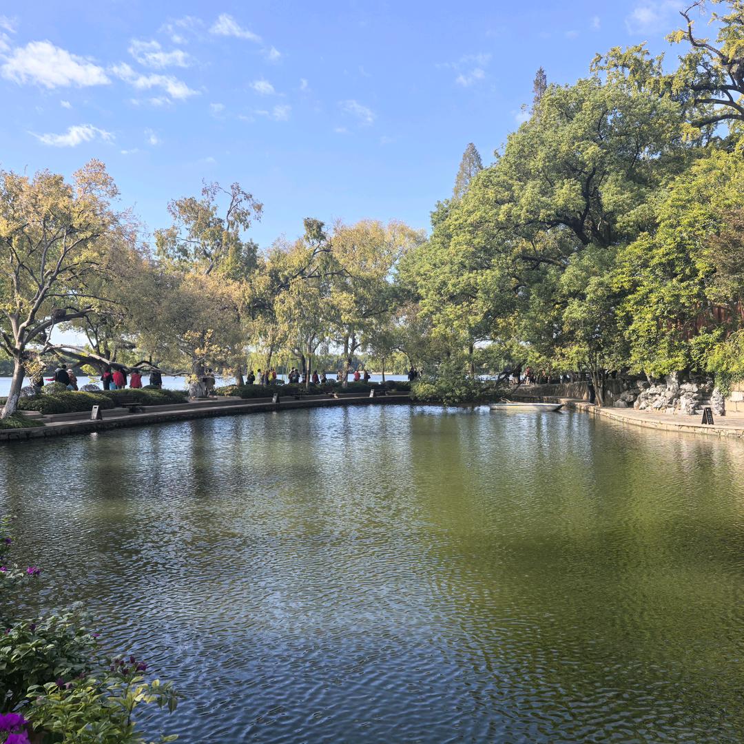 天涯马的浪浪人生