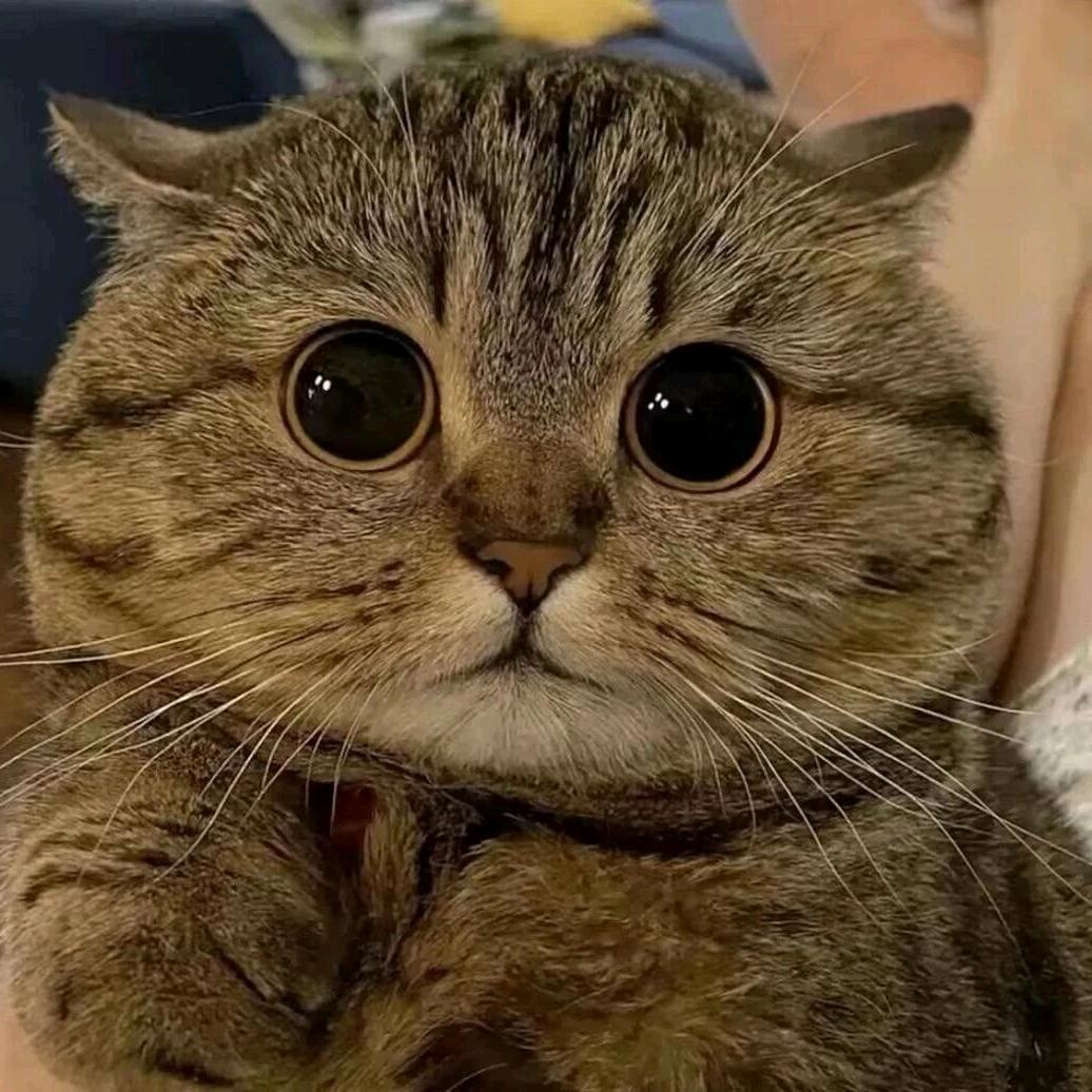 喜欢185干净男大