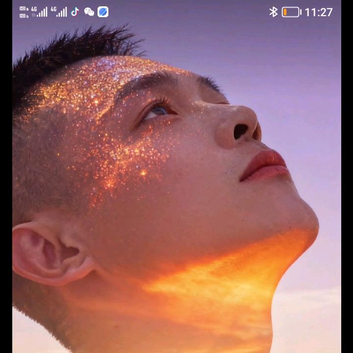 🌺红🦋一🐝飞🦋