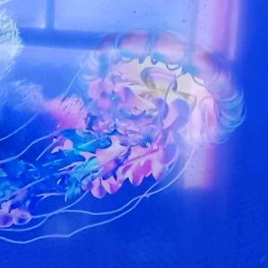 睡不着个棉花糖