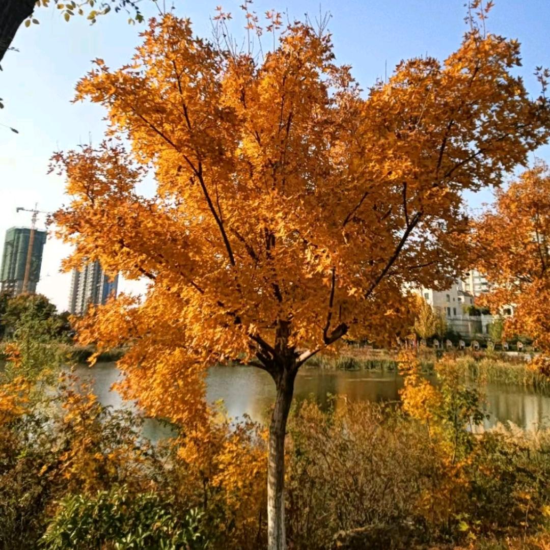 姐就这么拽