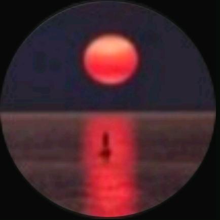 傻鱼.....（三角洲）