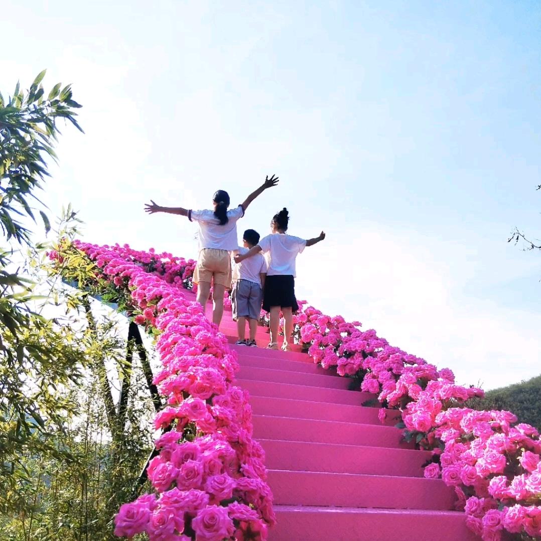 ꧁꫞范💞李꫞꧂