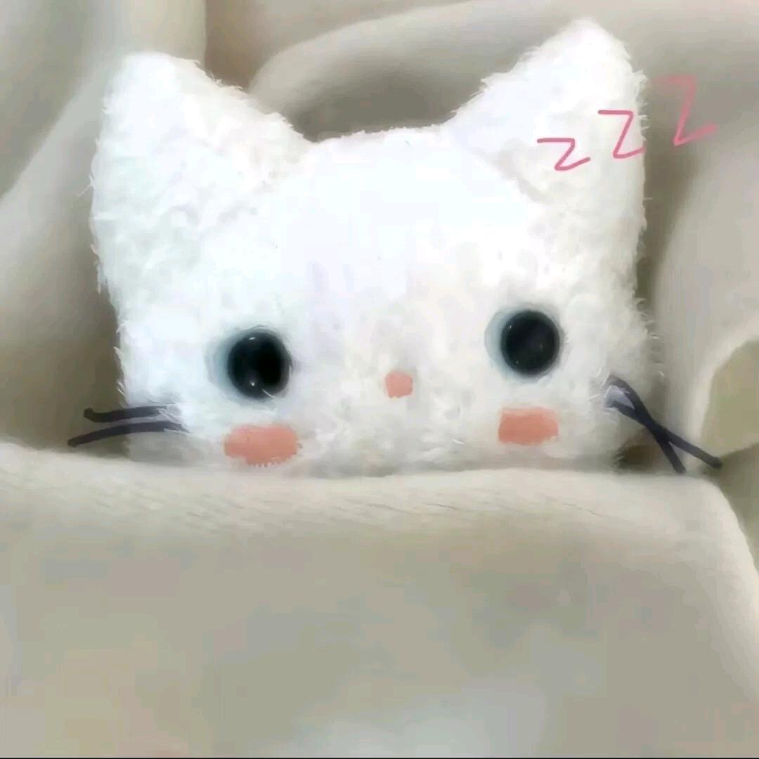 乔锐逸(猫猫重度依赖)