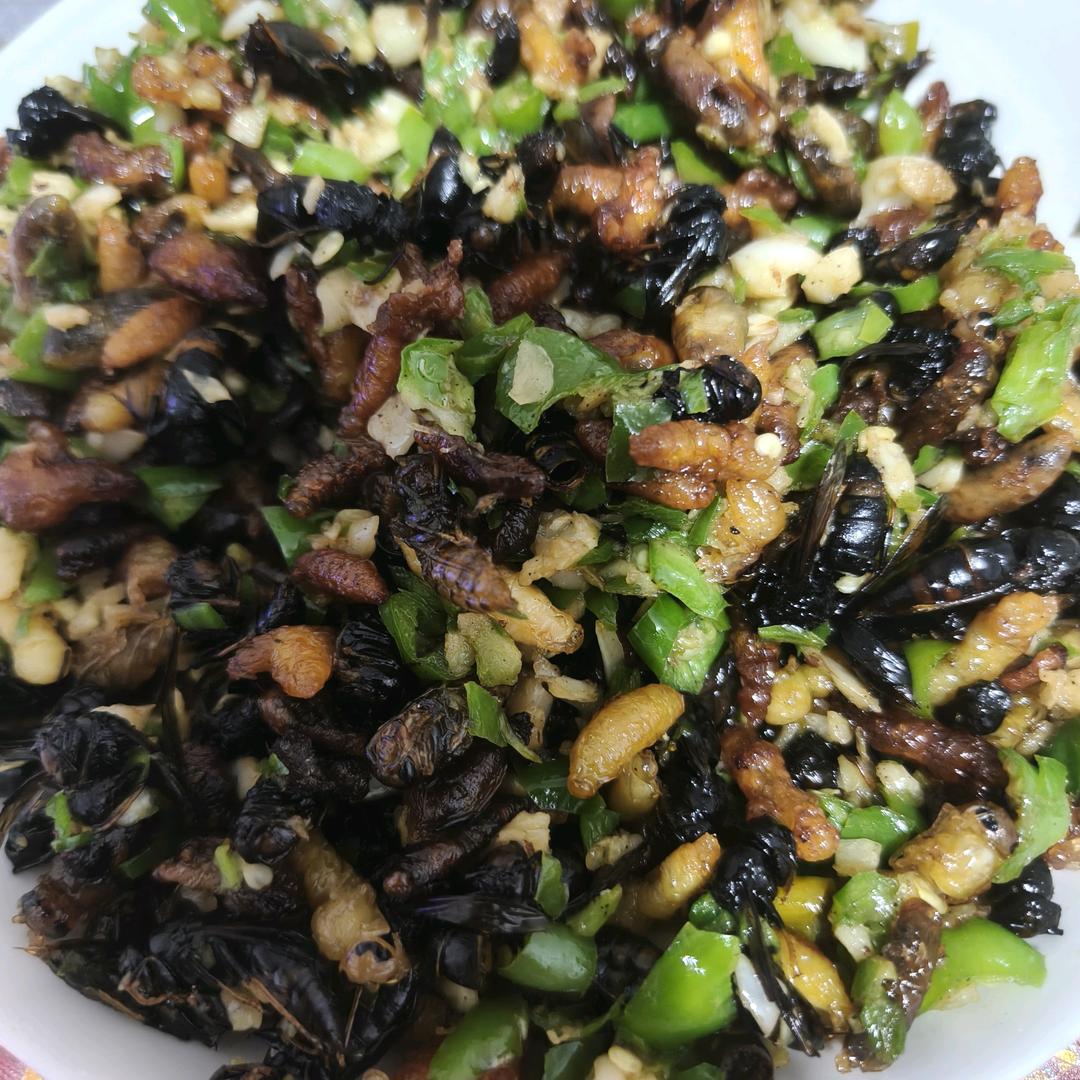 ᭄⁵₂⁰꯭¹⁹⁹2ꦿ🐻᭄࿐💞