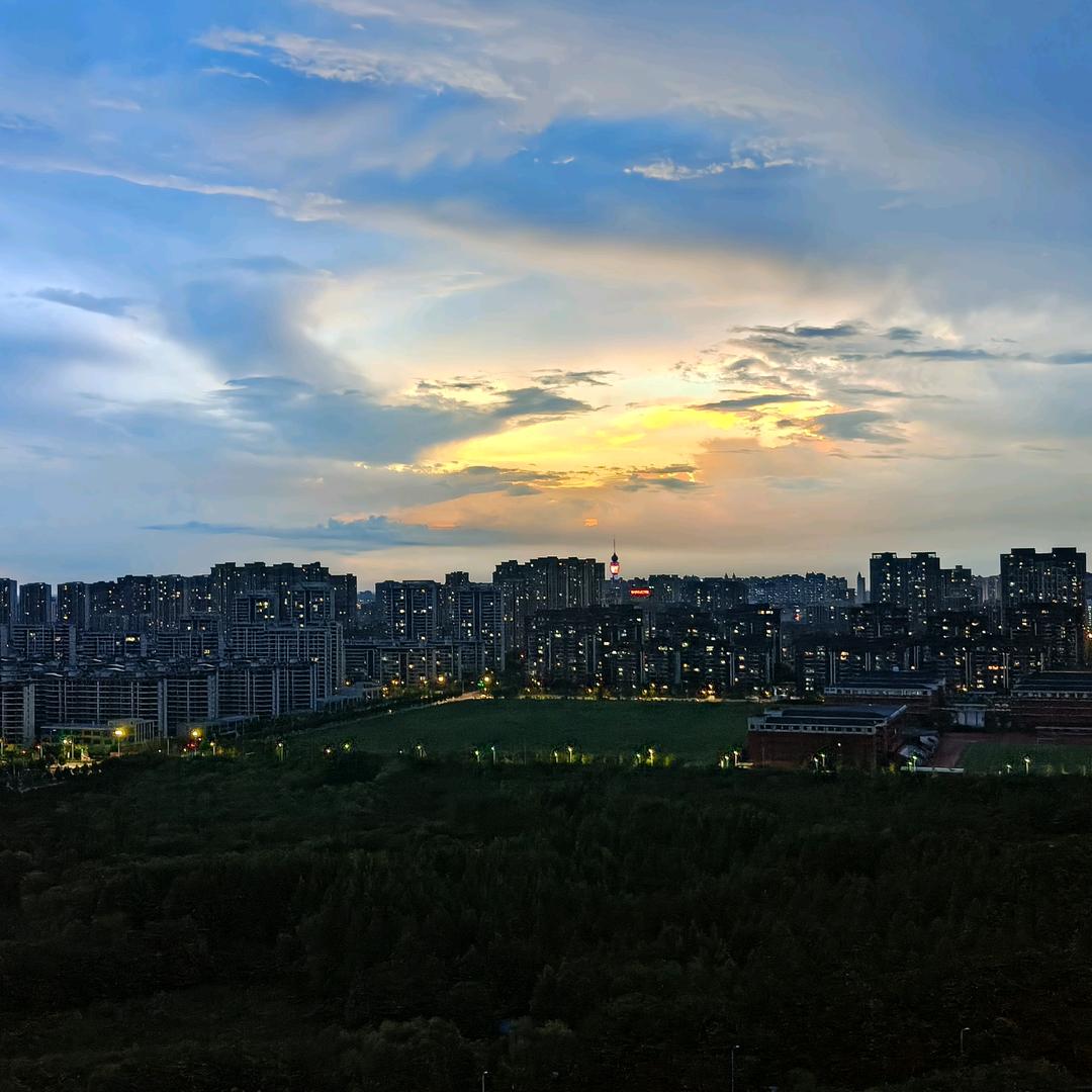 云榈桐樱