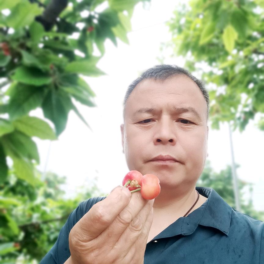 西部猎人，爱芝洗衣