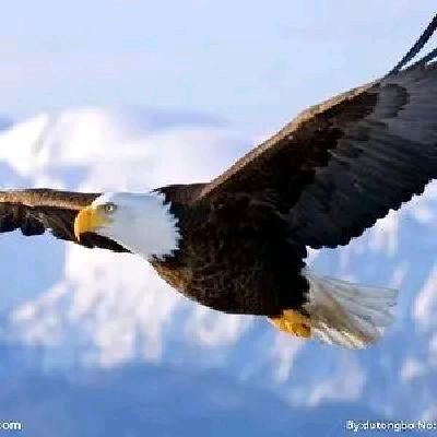 💞ℒ余生💫安好࿐💞