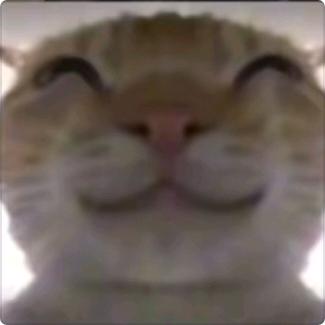 半糖大杯茉莉奶