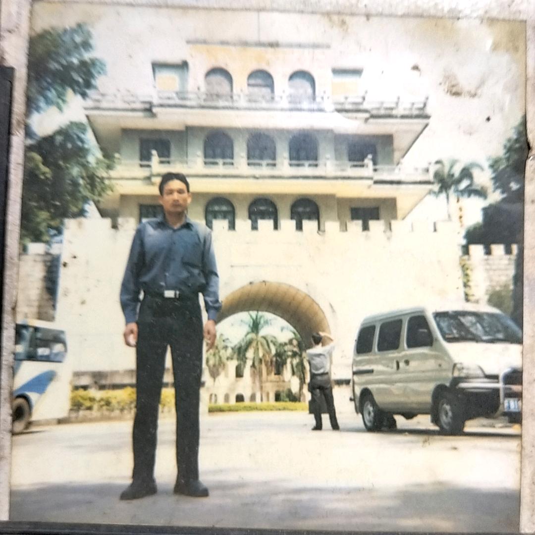 淘金森林