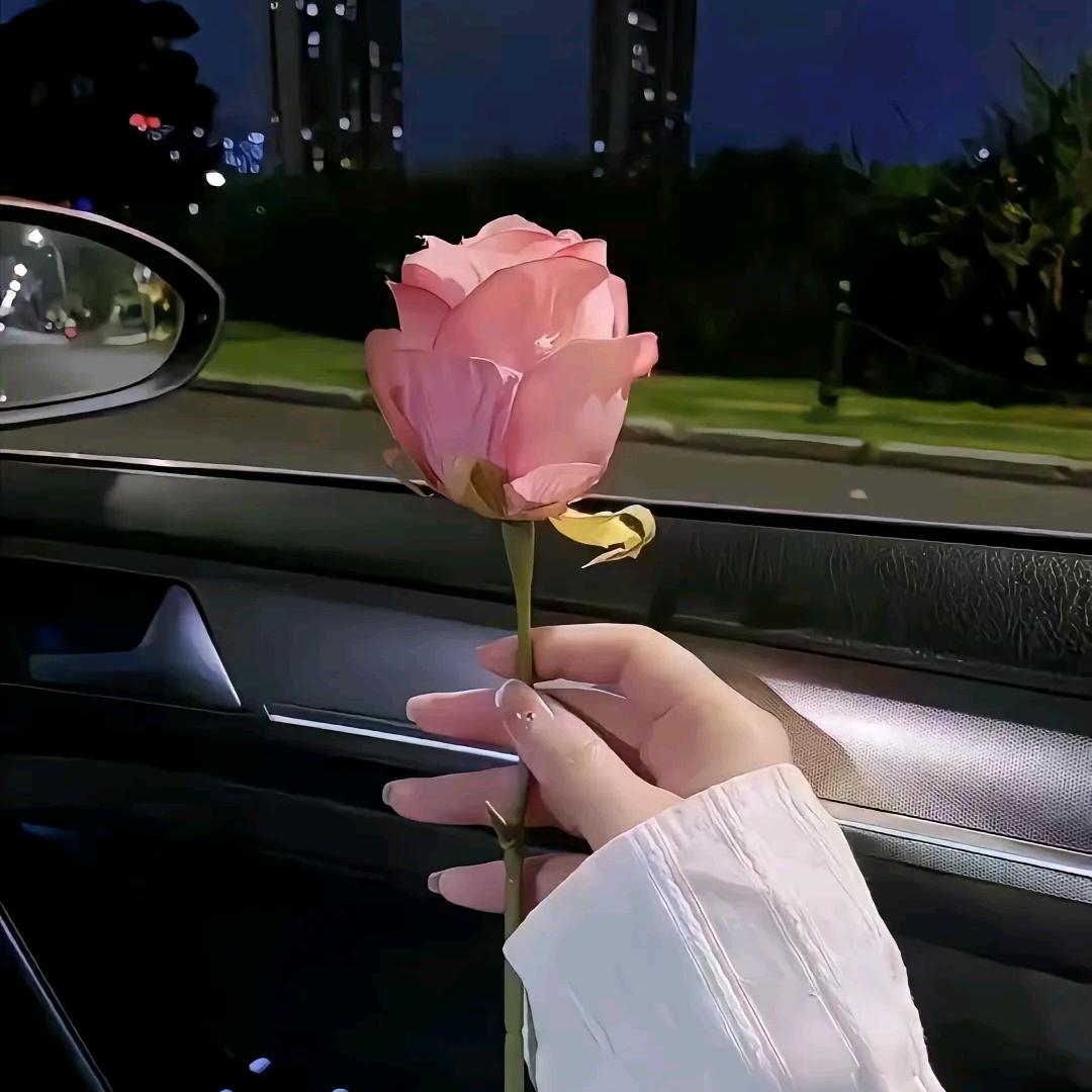 ꪖꪶওᮨ。封心❤️锁爱ꦿ❤️