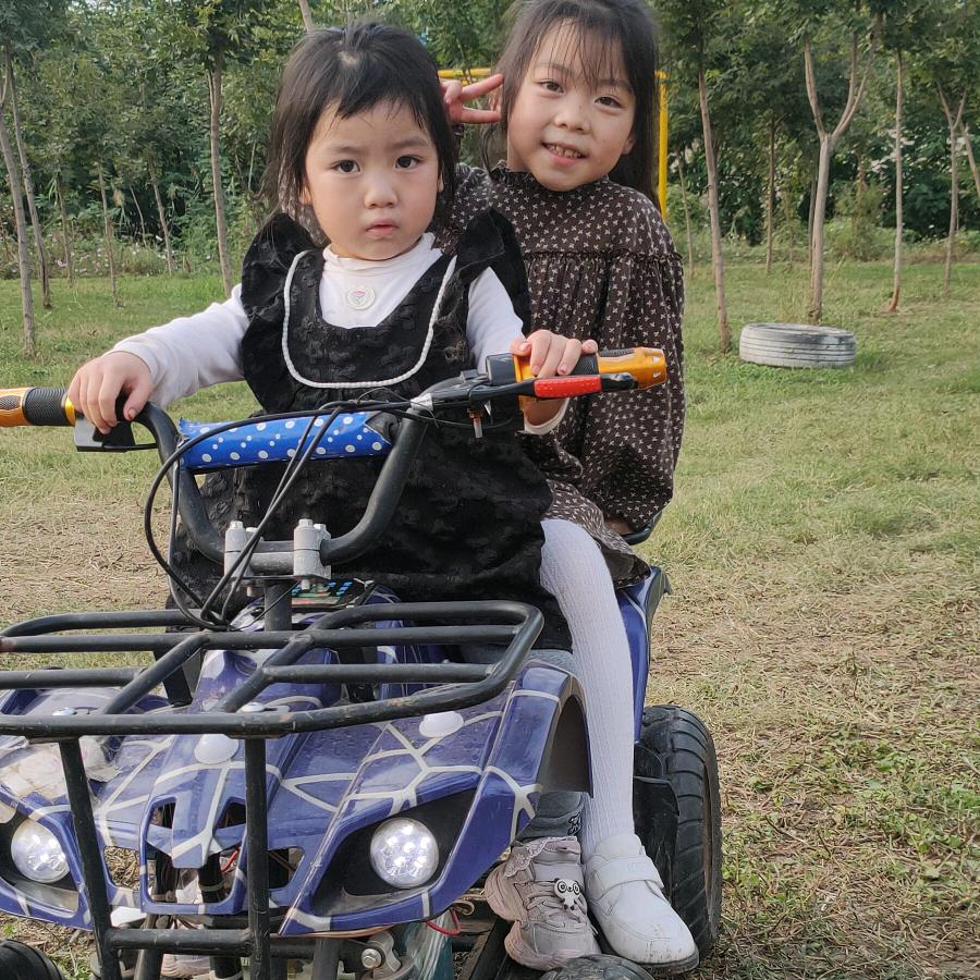 西北风✔火因 🎆🎆花