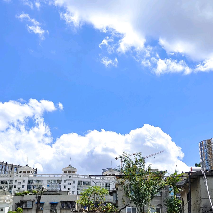 莱奥运动穿搭