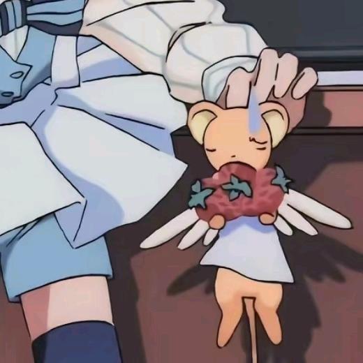 蓝桉长在洱海边