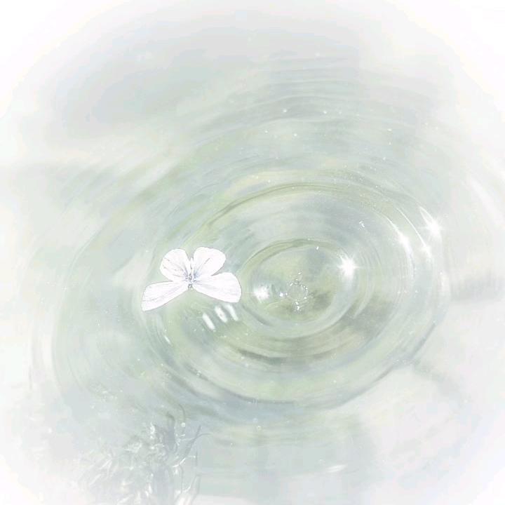土豆不吐皮.