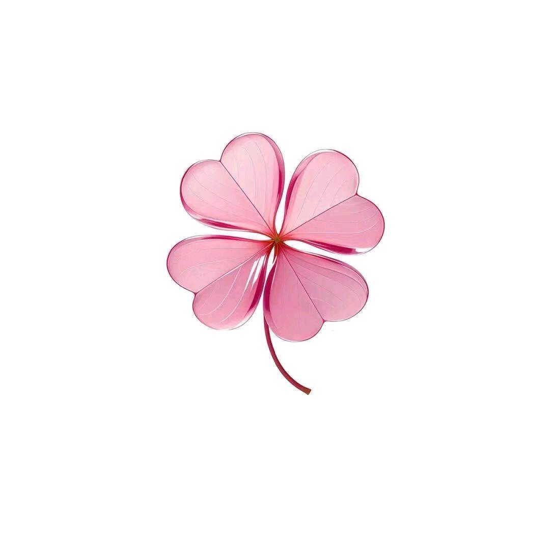 与你无关花🌸