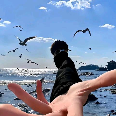 皓皓