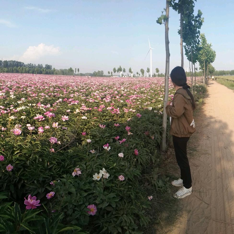 微笑向暖