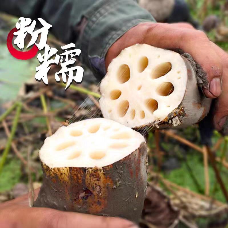 藕然相遇洪湖煲汤粉藕