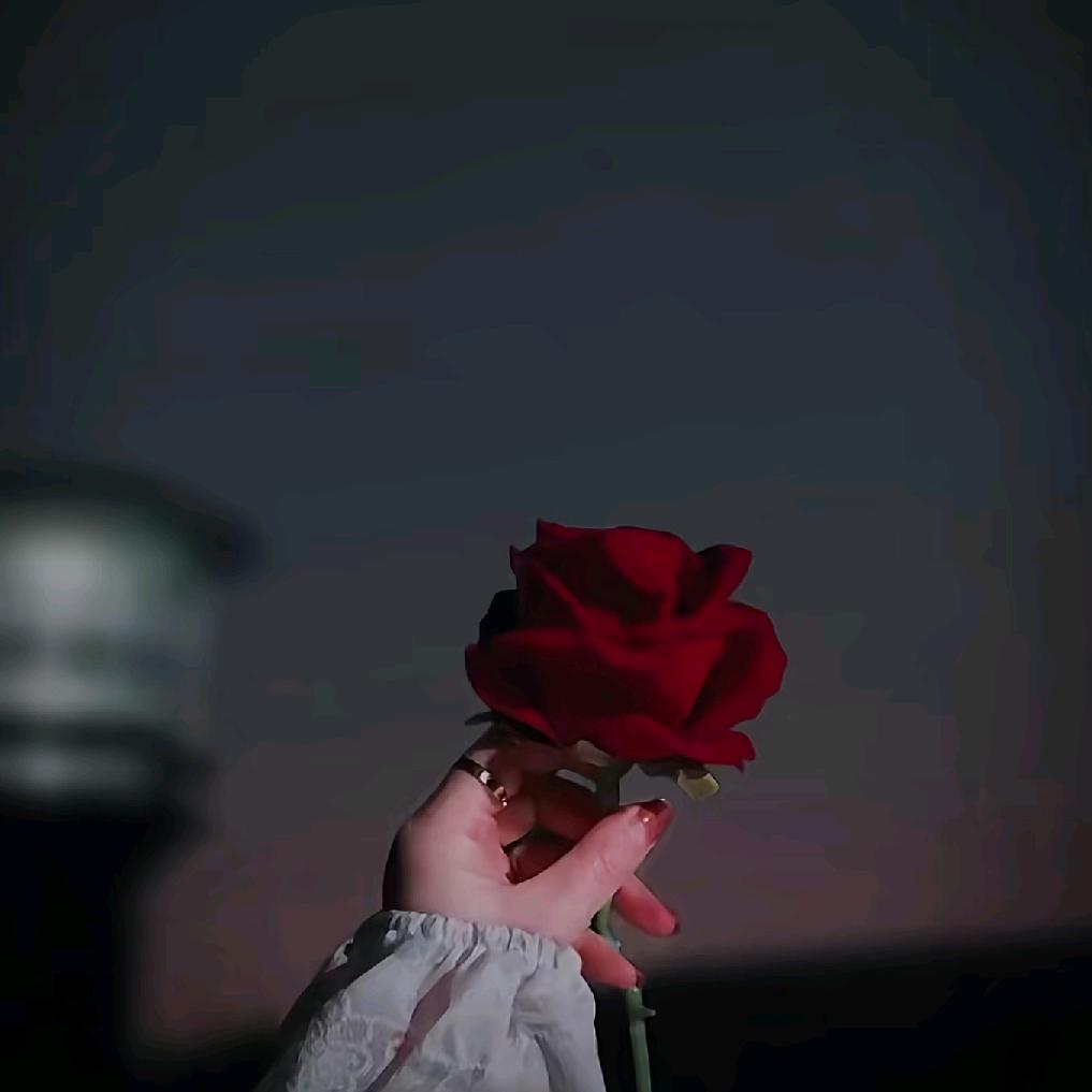 ಢ᭄岁月🍒静好