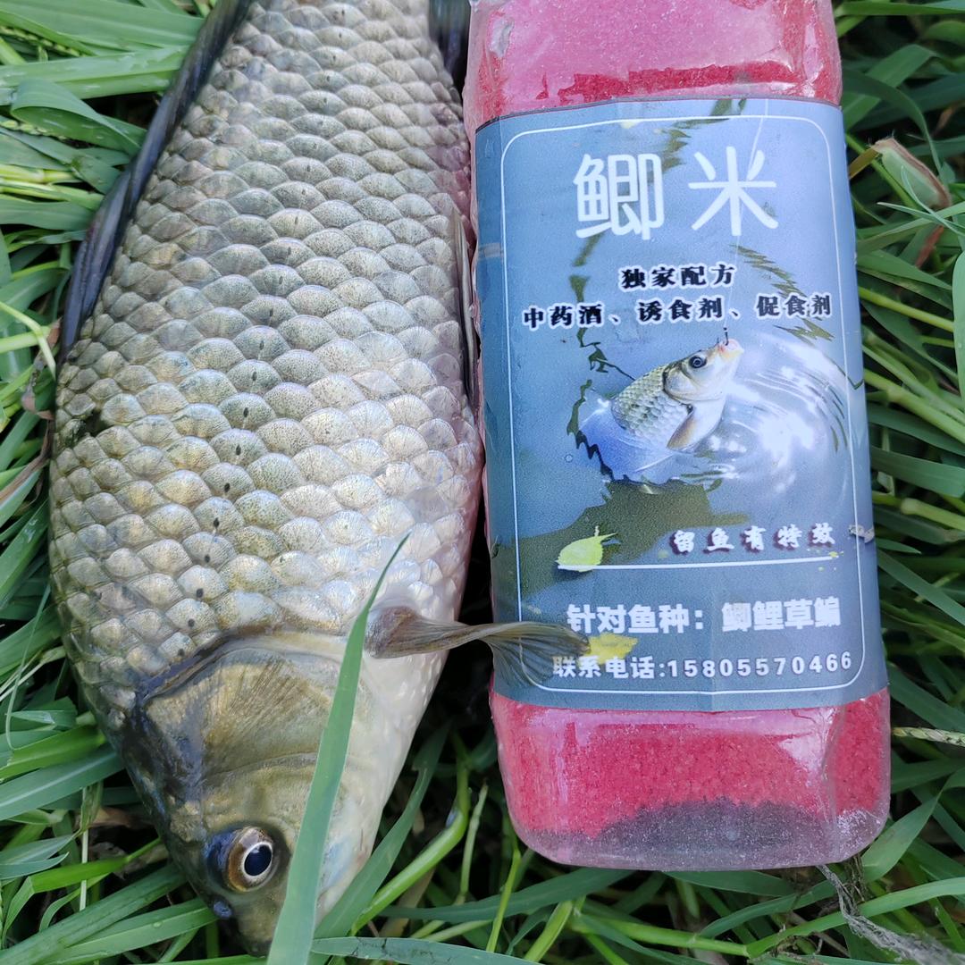 皮卡丘钓鱼🎣