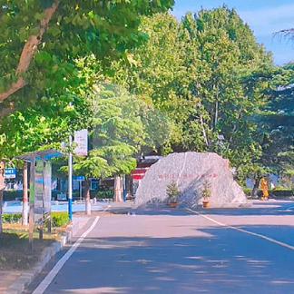 山职校🏫升学就业有方向