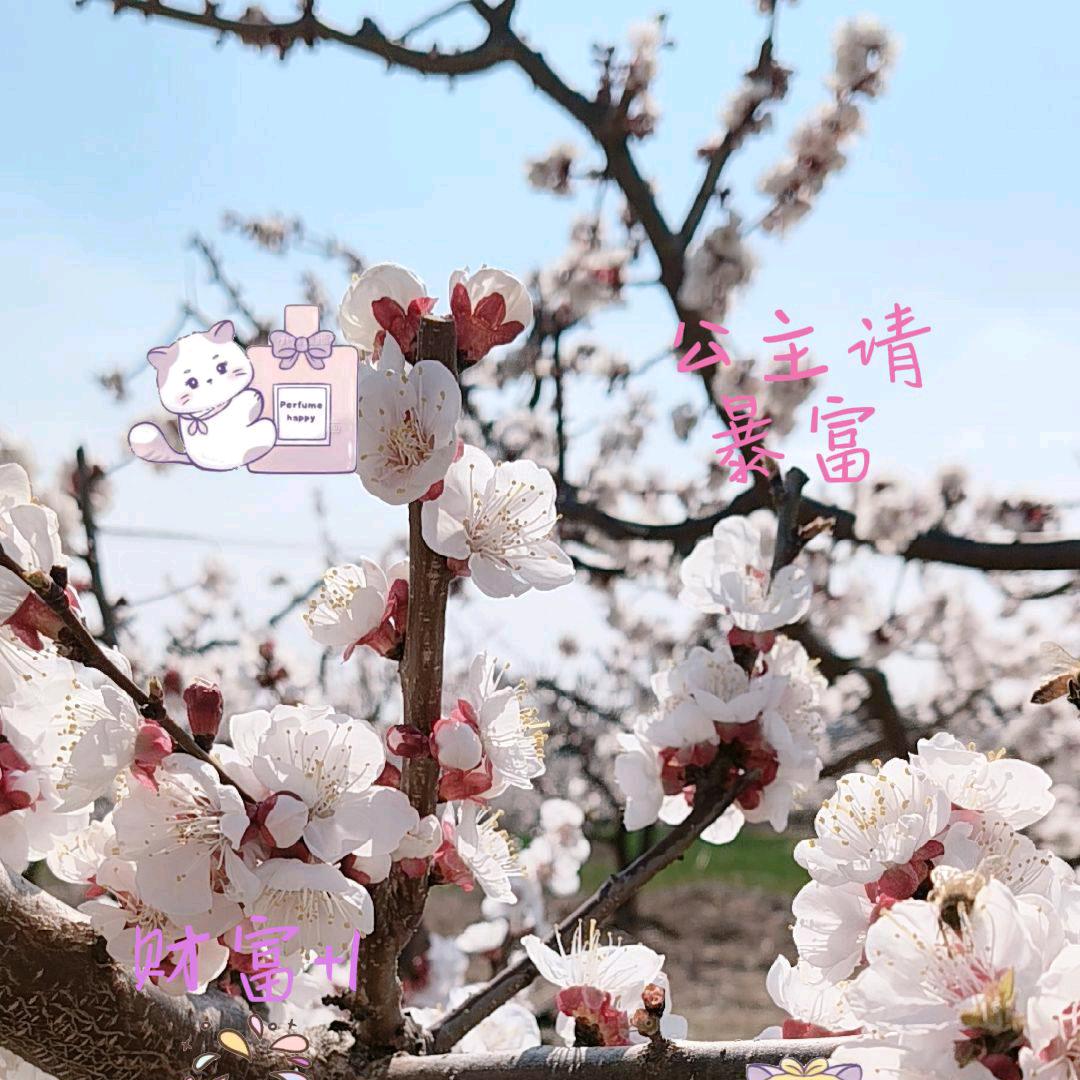 开心快乐每一天