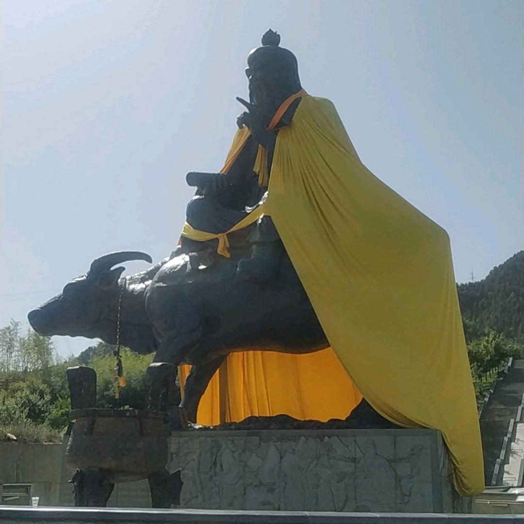 策略游戏看海王