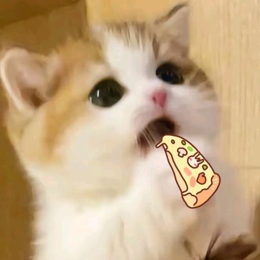 葵花（回关发）