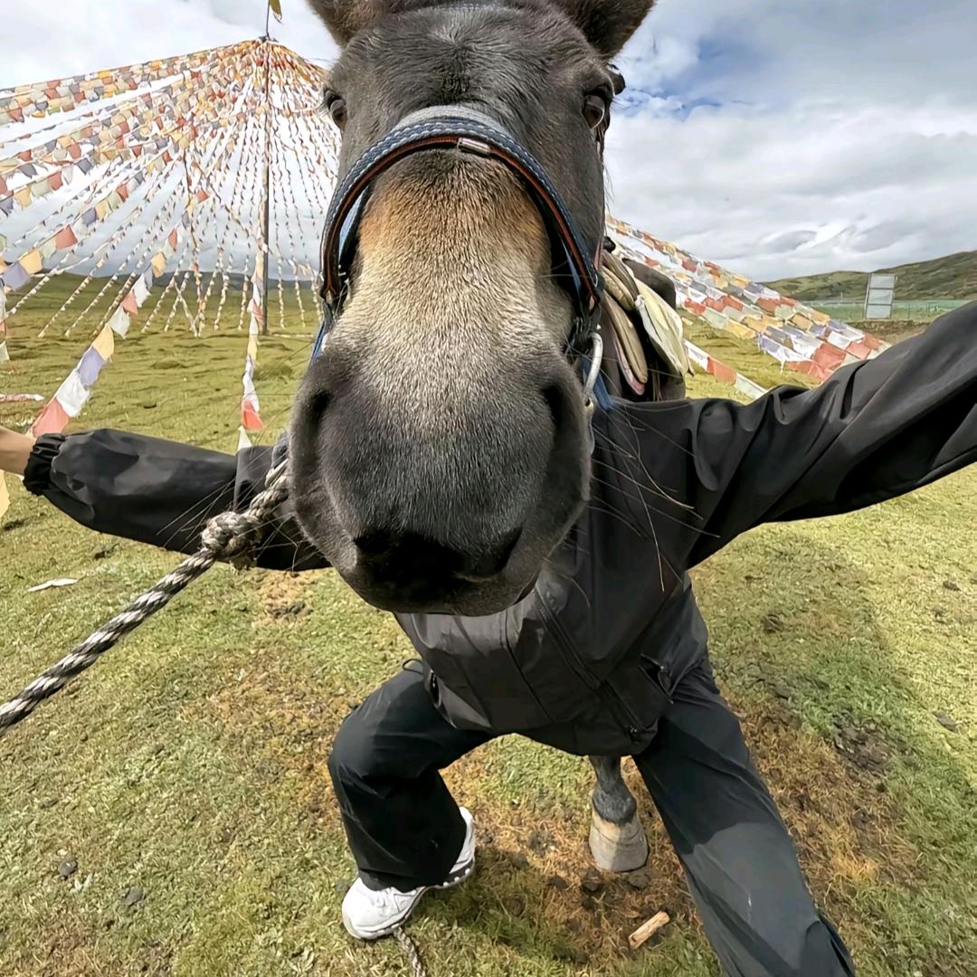 ～姐姐你看他～