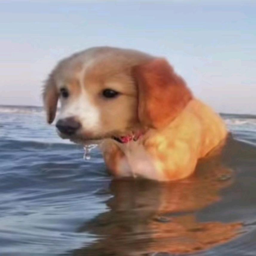 重生之我是185霸道总裁假装小学生上学