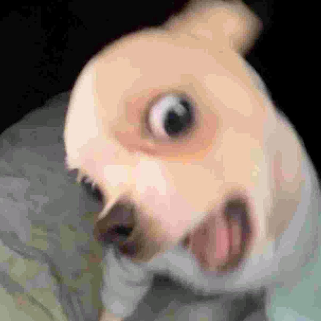 愿我5u_