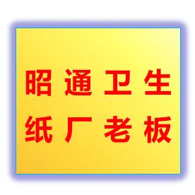昭通卫生纸源头厂家