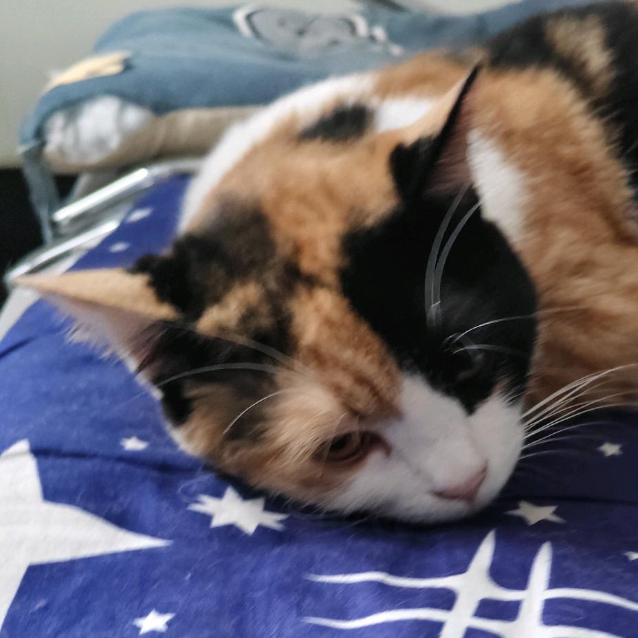 看着屎山无从下手怎么办