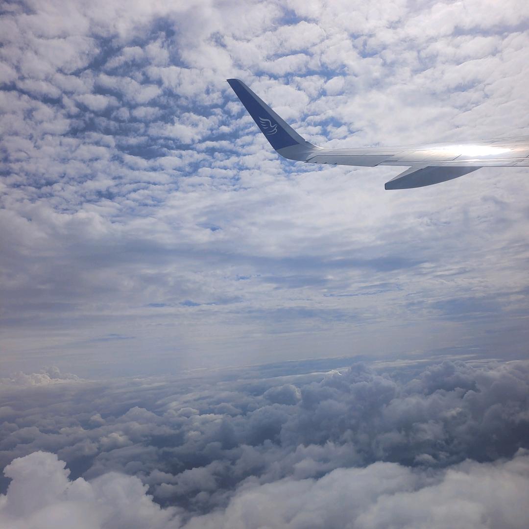 এ᭄知ꦿ꯭ꫛ秋ꫀꪝ