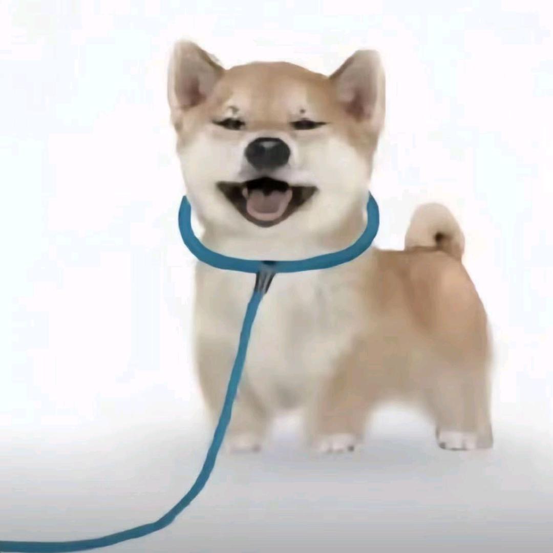 午夜
