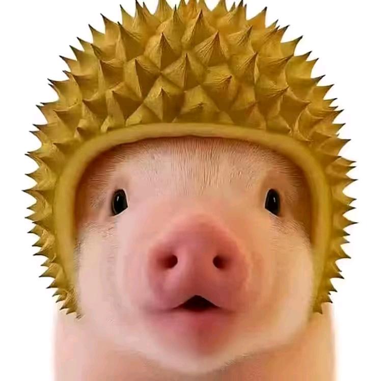 嘉豪哥哥