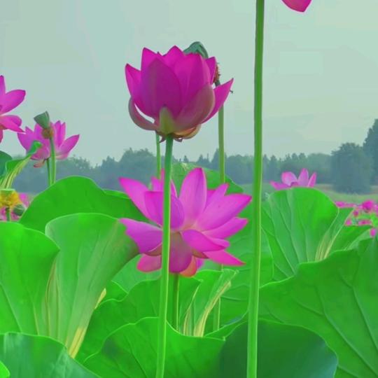 好好的
