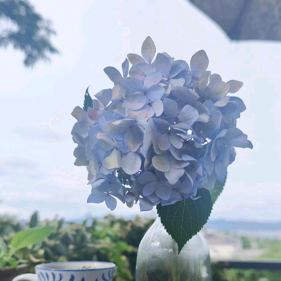 乐逍遥❤️ (真爱版)